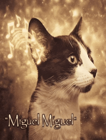 Cat Ai GIF