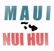 kklmaui GIF