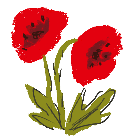 Remembrance Day Red Flower Sticker by Xiwikj