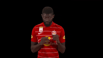 Red Bull Knockout GIF by FC Red Bull Salzburg