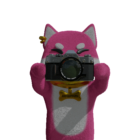 Hachiko Sticker by yonagunifiesta