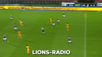 lions-radio  GIF