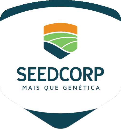 Sementes De Soja GIF by SEEDCORP HO