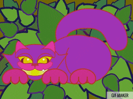 Cat GIF