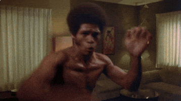 Kung-Fu Jimkelly GIF