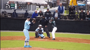 Baseball GIF