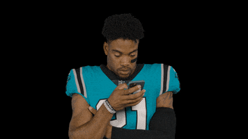 Let Me See Oh No GIF by Carolina Panthers