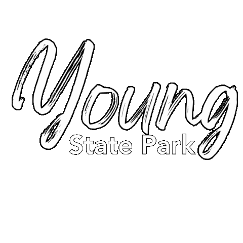 State Park Sticker by State of Michigan