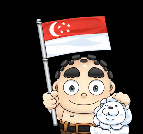 singapura meaning, definitions, synonyms