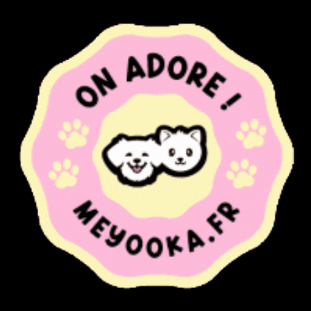 Cat Dog GIF by Meyooka