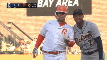Happy Major League Baseball GIF by San Francisco Giants
