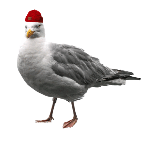 Pidä Saaristo Siistinä ry Sticker
