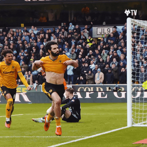 Celebrating Premier League GIF by Wolves