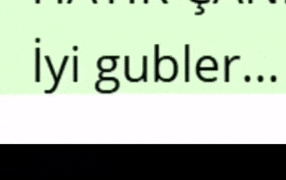 Okul GIF