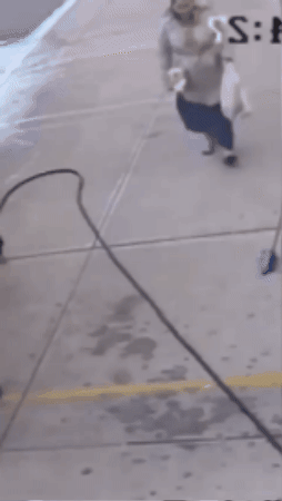 giphy.gif