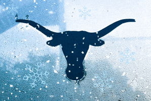 University Of Texas Snow GIF by College of Natural Sciences, UT Austin