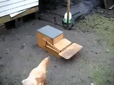 pomysł GIF