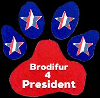 Election 2020 National Dog Day GIF by Brodifur