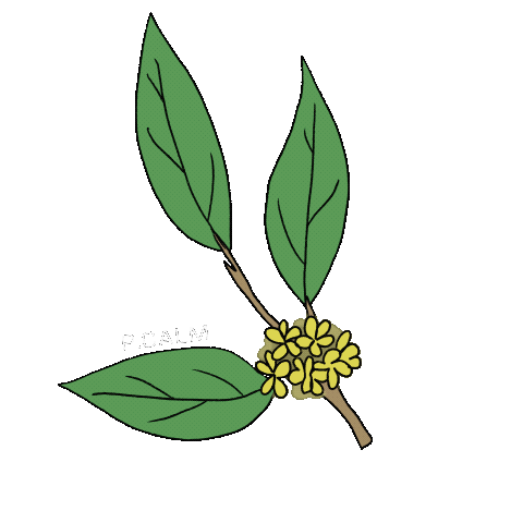 Skincare Plant Sticker by alohaelita