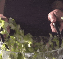bbqbutler GIF