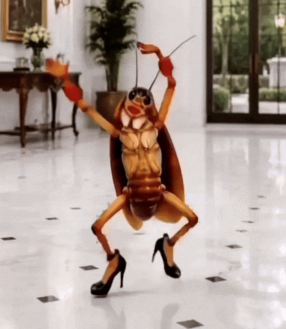 Hit Congress GIF