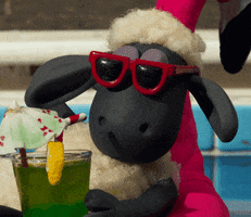 Shaun The Sheep What GIF by Aardman Animations