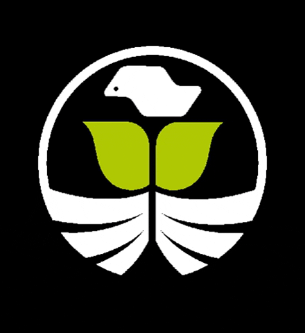 MKT Soesp GIF