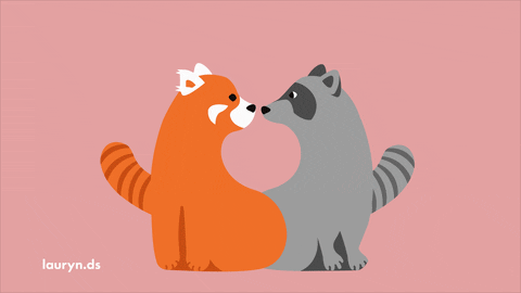 Tanuki Gifs Get The Best Gif On Giphy