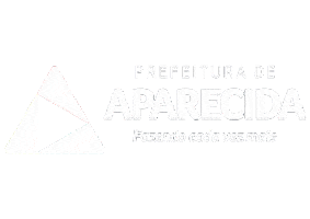 Paris Aparecida97Anos Sticker by Prefeitura de Aparecida