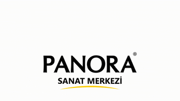 Psm Ankara GIF