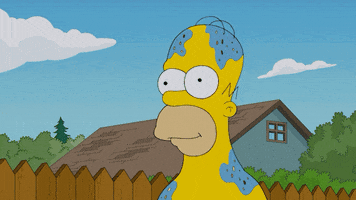 Confused Homer Simpson GIF by FOX TV