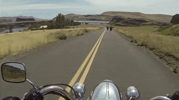 garfieldfailing  GIF