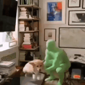 giphy.gif?cid=790b7611f7978c7e2d44d56995