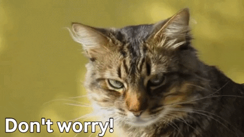 Its Going To Be Ok No Worries GIF by Squirrel Monkey - Find & Share on GIPHY