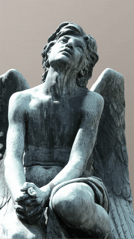GIF by Makam Dekor