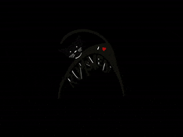 Beckum Rumskedi Schwarzerkater Rumskedikater GIF