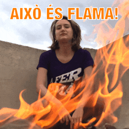 Fire Flame GIF by Gnomo