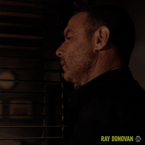 Episode 4 Showtime GIF by Ray Donovan