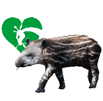 Stars Zoo Sticker by Bioparco di Roma