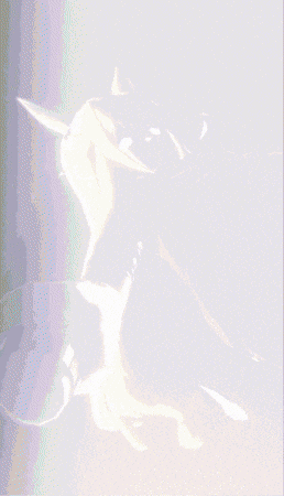Pretty Derby Animation GIF
