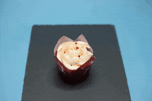 Hungry Chocolate Cupcake GIF by Kims Vegan Cakes