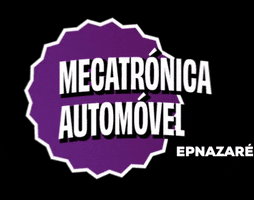 EPNazaré GIF