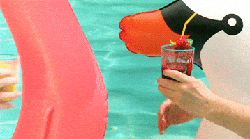 Pool Party Summer GIF by Team Coco Pool Party Summer GIF by Team Coco