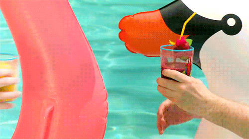 Pool Party Summer GIF by Team Coco