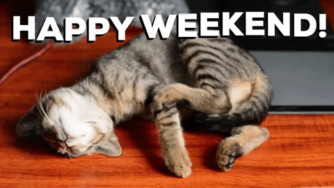 Weekend GIFs - Get the best GIF on GIPHY