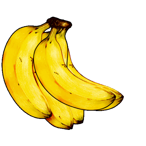 Den Bosch Festival Sticker by Paradijs van het Zuiden