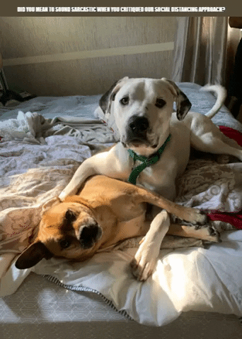 Social Distancing GIF