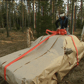 Excited Happy Birthday GIF by SVT