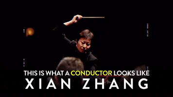 Orchestra Conductor Representation GIF