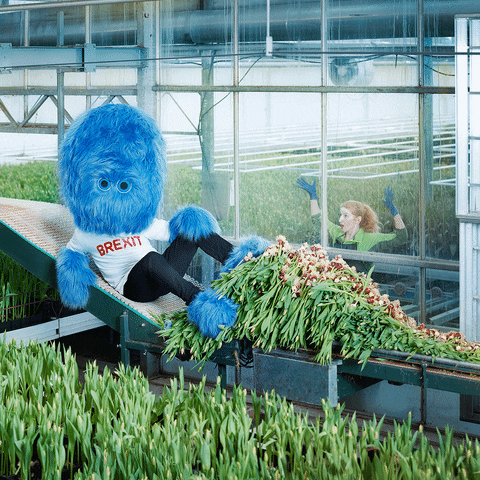 Ministerie van Economische Zaken en Klimaat GIF